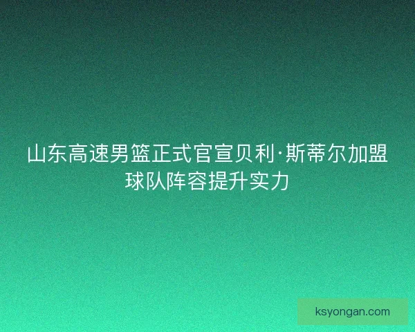 山东高速男篮正式官宣贝利·斯蒂尔加盟球队阵容提升实力
